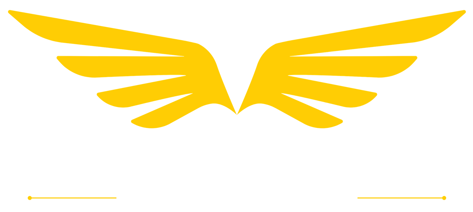 Transport Touristique
